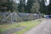 growing houses-1